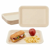 biodegradable tableware from MMCIS China